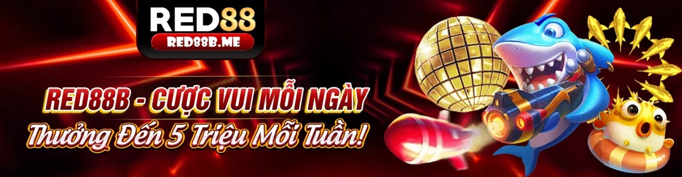 Tổng quan về XIN88