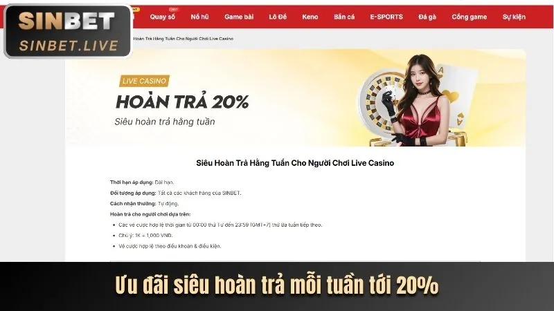 Chiến lược cá cược hiệu quả tại Xin88